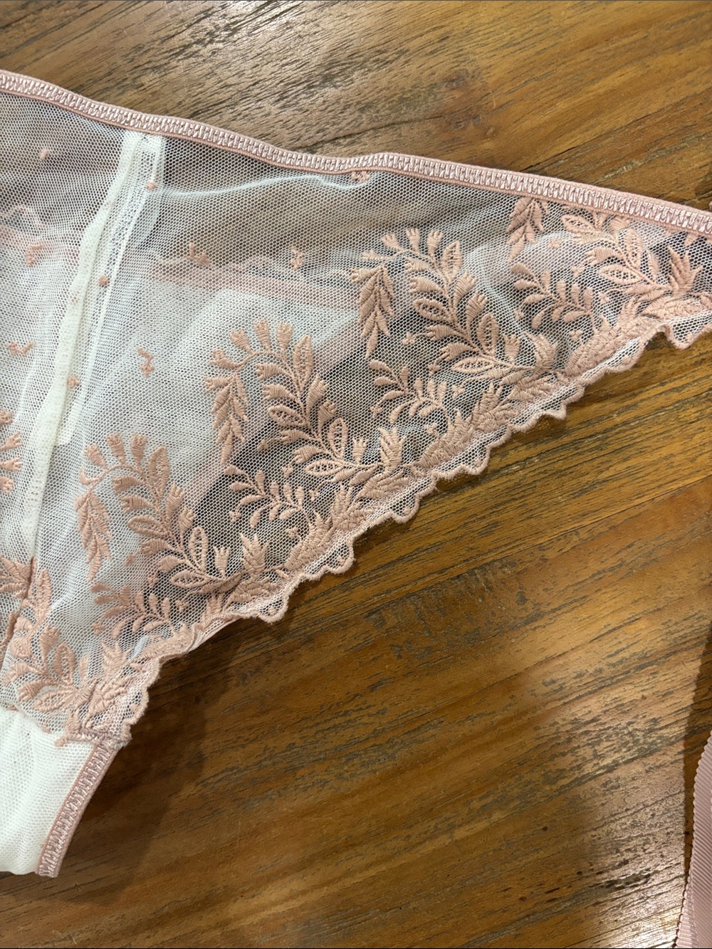 Free People Lace Embroidered Tie Side Panties